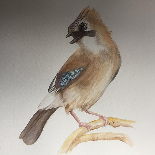 Aquarellbild Motiv Vogel