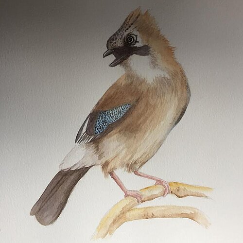 Aquarellbild Motiv Vogel
