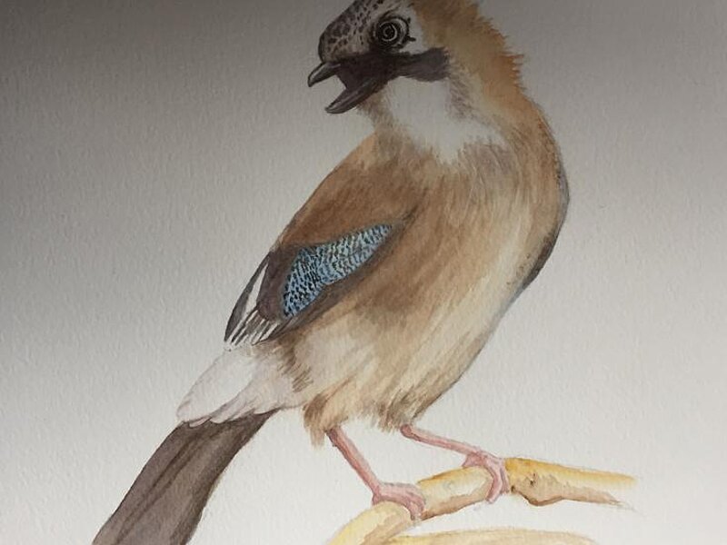 Aquarellbild Motiv Vogel