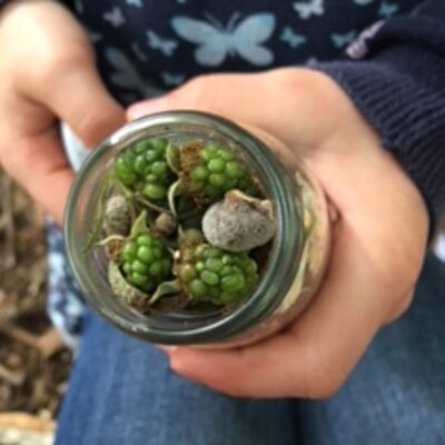 Kind hält Glas mit Naturmaterialien in der Hand im Projekt in der Jugendkunstschule im Kreativ-Haus Münster