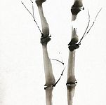 Sumi - Japanische Tuschemalerei